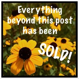 🌼🌿🌺🌿🌸🌿🌻🌿🌹🌿🌷